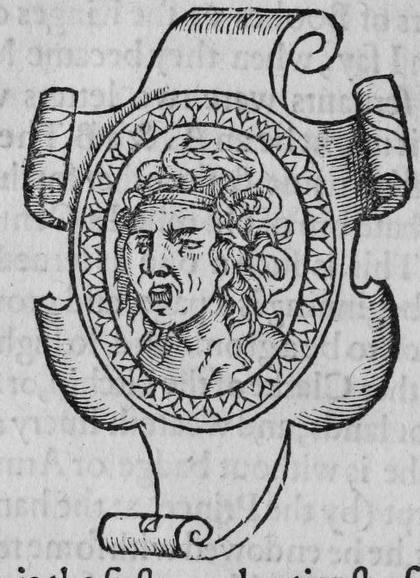 An oval shield bearing the head of Medusa.
