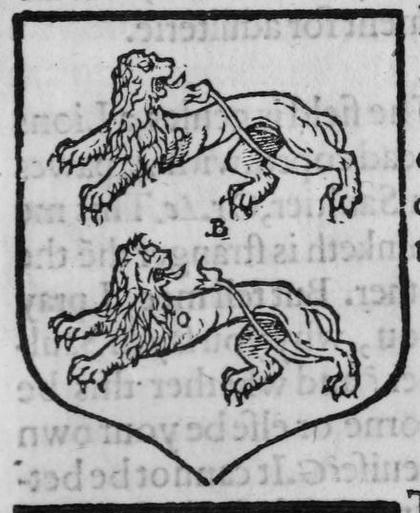 A shield Azure, two lions passant regardant, marked B.