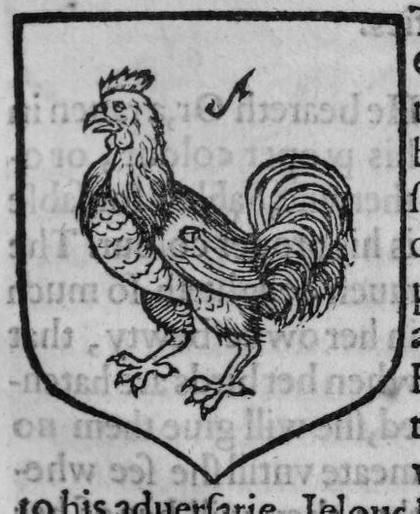 A shield Argent, a cock, marked A, G.
