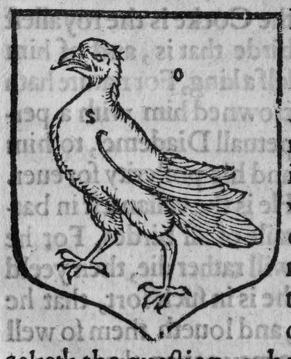 A shield Or, a raven, marked O, S.