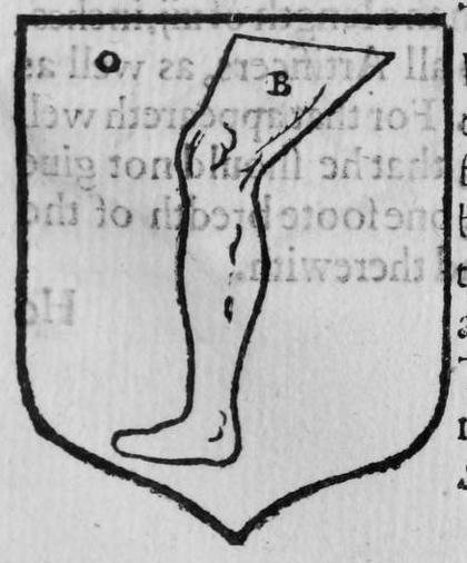 A shield Or, a leg, marked O, B.
