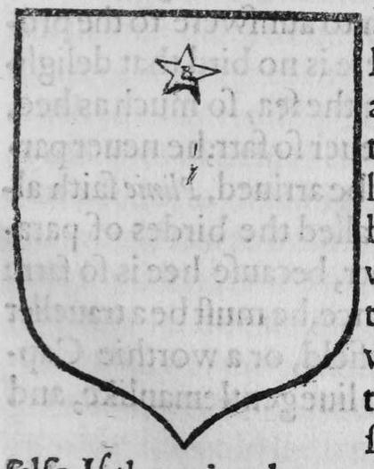 A shield Argent, a mullet, marked A.