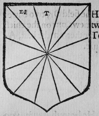 A shield gyronny of twelve, marked ES, T.