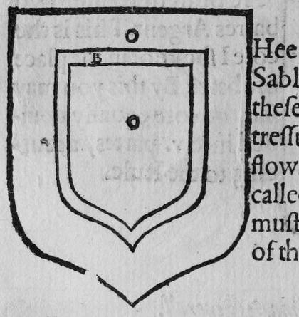 A shield Or, a tressure, marked O, B.