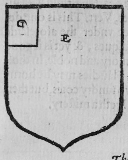 A shield Ermine, a canton, marked G, E.