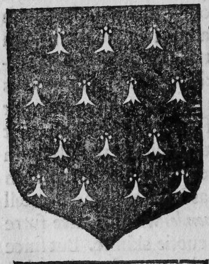 A shield Ermines.