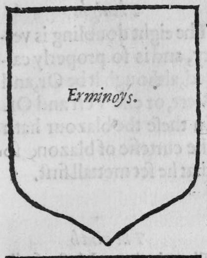 A shield Erminoys.