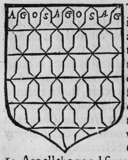 A shield Vaire.