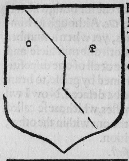 A shield party per pale beville, marked O, P.