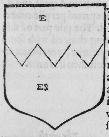 A shield Ermine and Ermines parted per fesse dancette, marked E, ES.