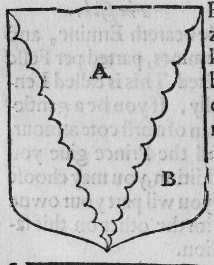 A shield Argent and Azure parted per pile envecked, marked A, B.