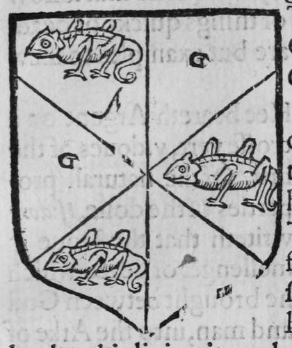 A shield Argent, a cross gironny between three chameleons, marked G, A.
