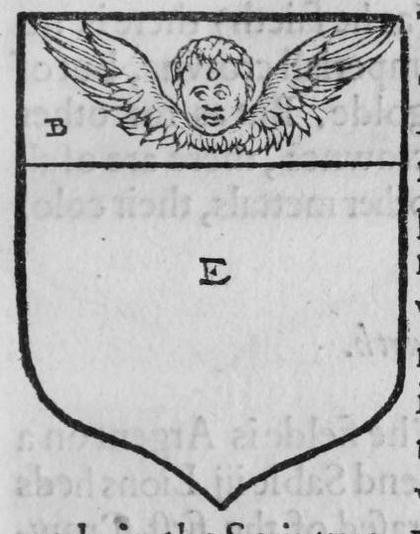 A shield Ermine, on a chief Azure a cherub, marked B, E.