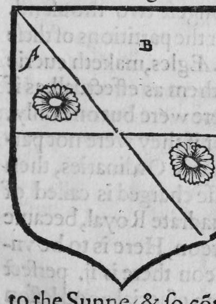 A shield Blewe, on an escutcheon Argent a crab, marked B.