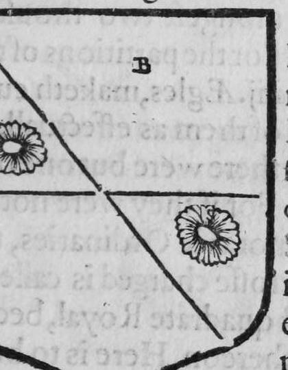 A shield Azure, two gyrons charged with marigolds, marked B, A.