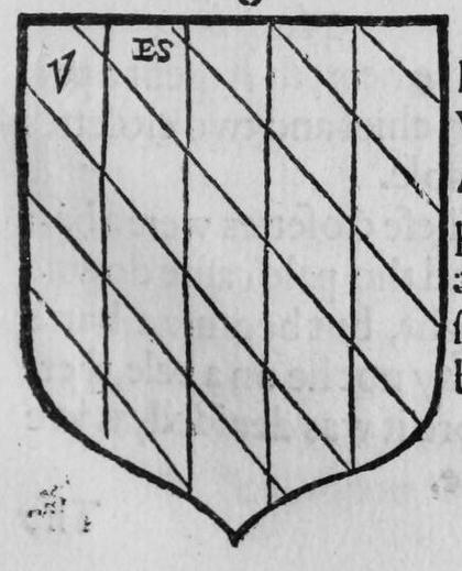A shield paly bendy, marked V, ES.