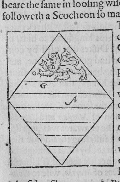 A lozenge, barry of six, on a chief a lion passant, marked B, O, G, A.