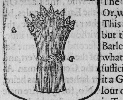 A shield Azure, a garb, marked B, G.