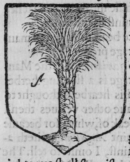 A shield Argent, a palm tree, marked A.