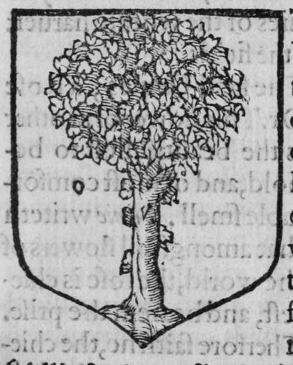 A shield Or, an oak tree, marked O, B.