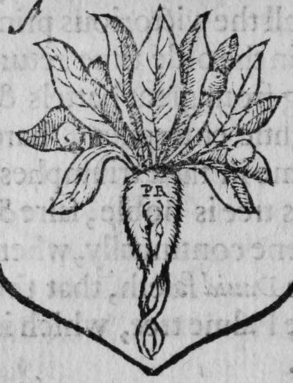 A shield Argent, a mandrake, marked PR.