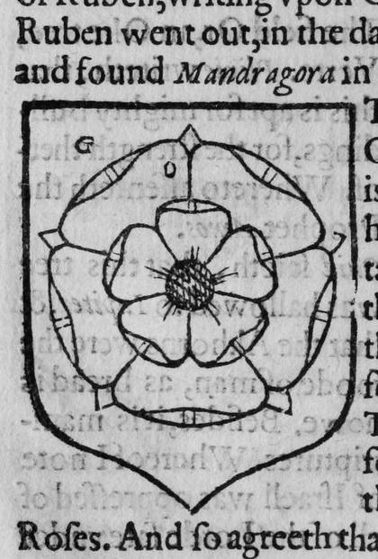 A shield Gules, a rose, marked G, O.
