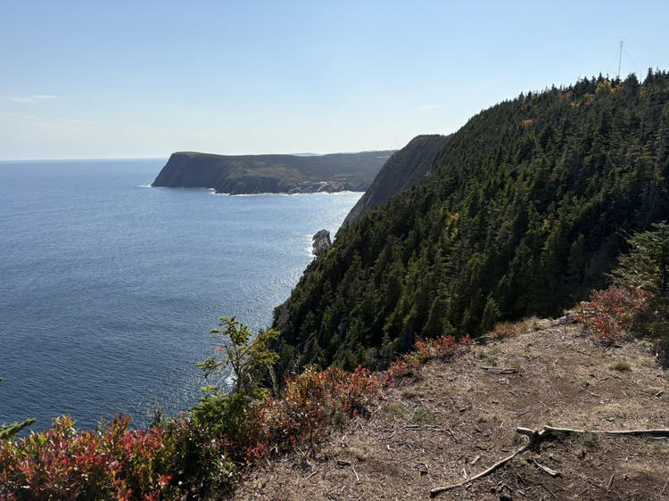 Photo of one of the trails near our house